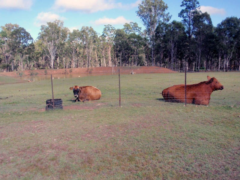 Wattle Camp QLD 4615