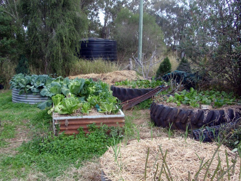 520 Kumbia Road, Ellesmere QLD 4610