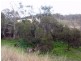 520 Kumbia Road, Ellesmere QLD 4610