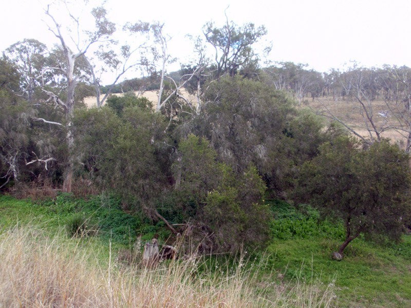 520 Kumbia Road, Ellesmere QLD 4610