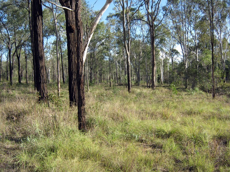 Lot 57 Franklins Road, Wattle Camp QLD 4615