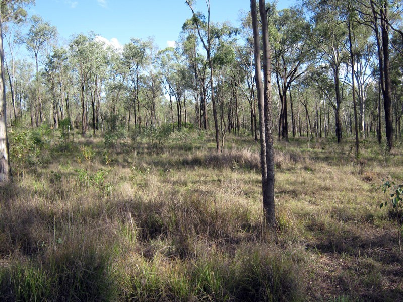 Lot 57 Franklins Road, Wattle Camp QLD 4615