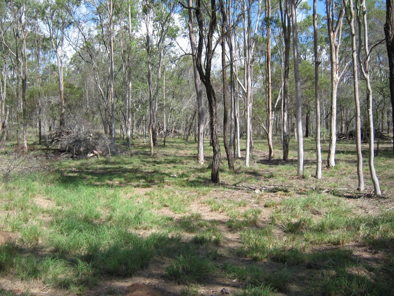 Lot 11 Wattle Camp Road, Wattle Camp QLD 4615