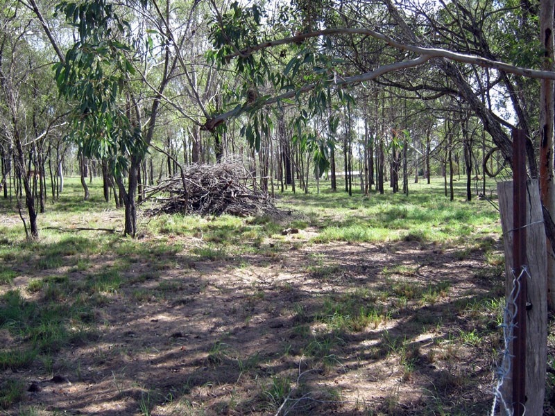 Lot 11 Wattle Camp Road, Wattle Camp QLD 4615