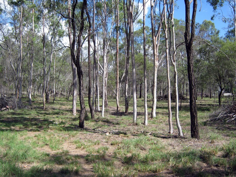 Lot 11 Wattle Camp Road, Wattle Camp QLD 4615