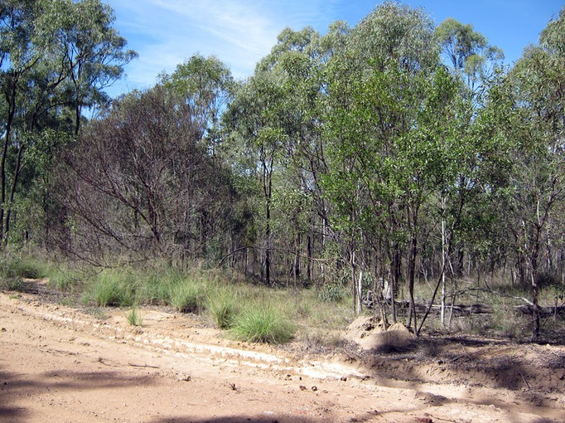 Lot 22 Shellytop Road, Durong QLD 4610