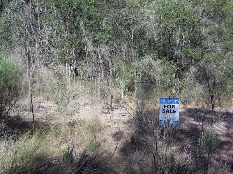 Lot 16 Norman Road, Tarong QLD 4615