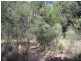 Lot 16 Norman Road, Tarong QLD 4615