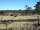 Lot 13 Wattle Camp Road, Wattle Camp QLD 4615