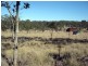 Lot 13 Wattle Camp Road, Wattle Camp QLD 4615