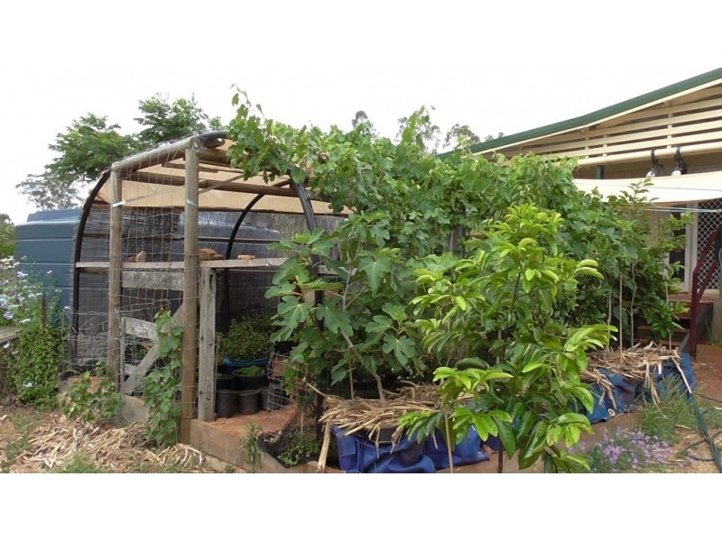 16 Birch Road, Wattle Camp QLD 4615