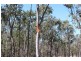 Ballogie QLD 4610
