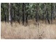 Ballogie QLD 4610