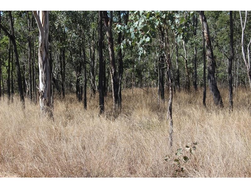 Ballogie QLD 4610