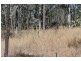 Ballogie QLD 4610