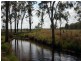16 Birch Road, Wattle Camp QLD 4615