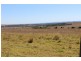Tingoora QLD 4608