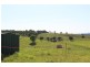 Nanango QLD 4615