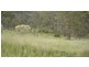 Maidenwell QLD 4615