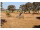 Mannuem QLD 4610
