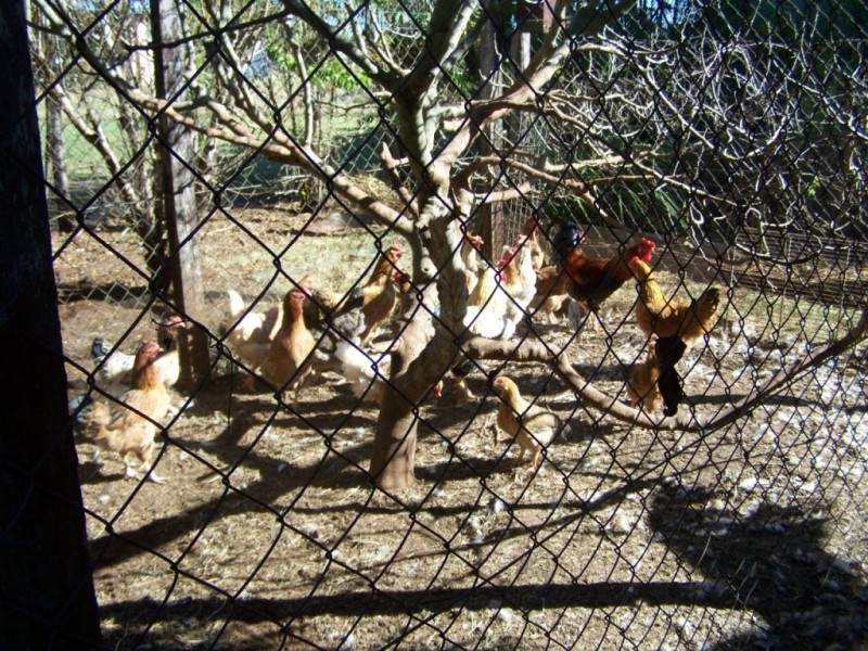 62 Macaulay Dr, Booie QLD 4610