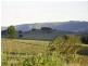 223 Mt Barney Road, Barney View QLD 4287