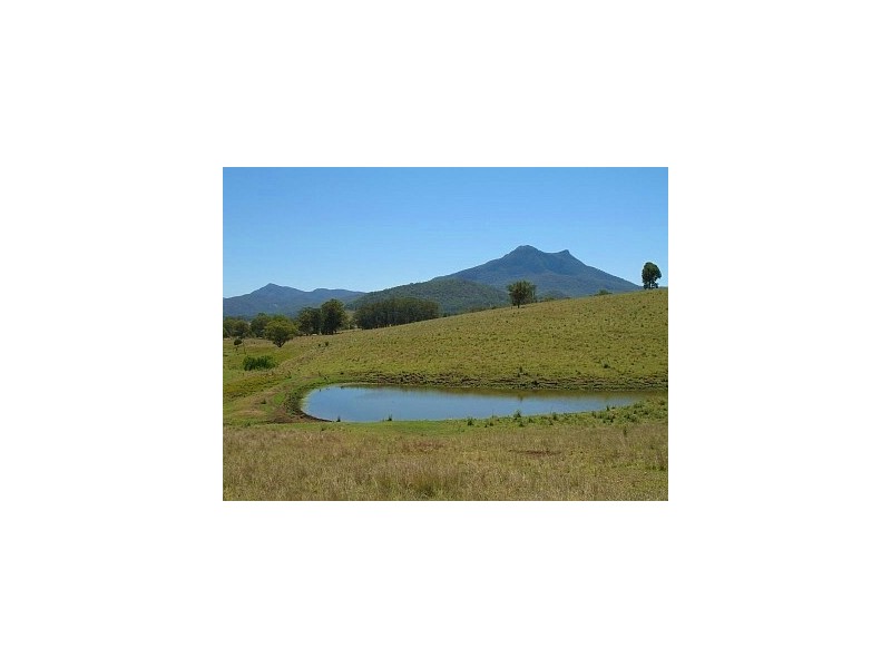 223 Mt Barney Road, Barney View QLD 4287