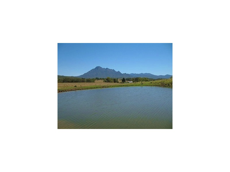 223 Mt Barney Road, Barney View QLD 4287