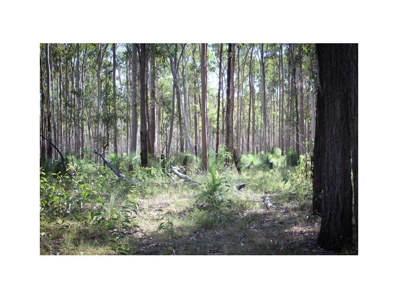 4068 Boonah Rathdowney Road, Rathdowney QLD 4287