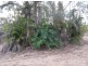 260 Scott Lane, North Maclean QLD 4280