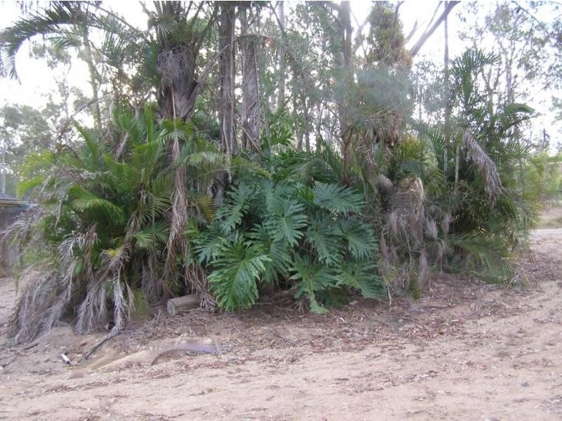 260 Scott Lane, North Maclean QLD 4280