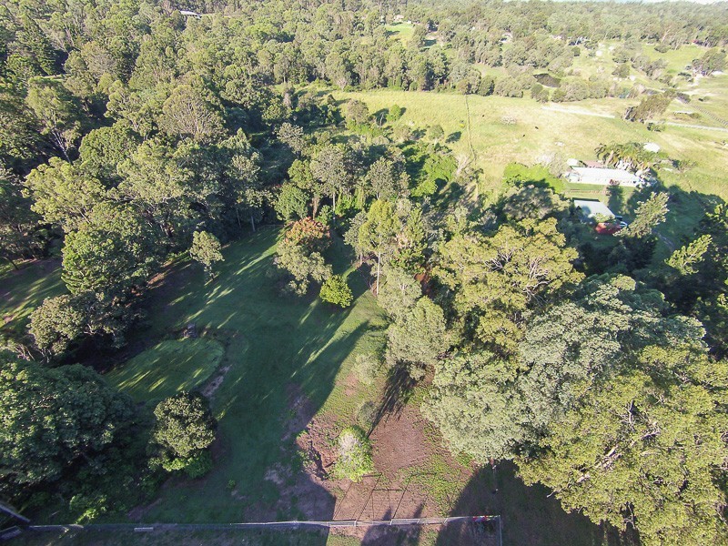 43 Blackbean Street, Cedar Vale QLD 4285