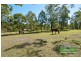 20 Allspice Street, Cedar Vale QLD 4285