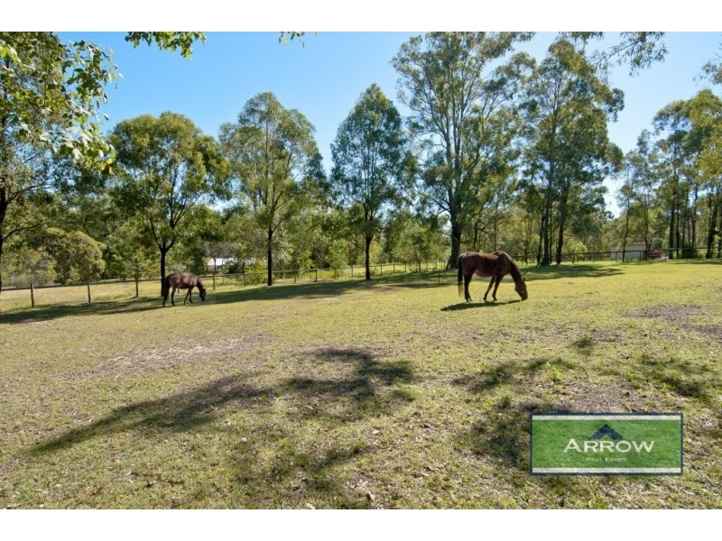 20 Allspice Street, Cedar Vale QLD 4285