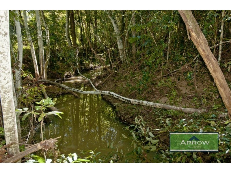 20 Allspice Street, Cedar Vale QLD 4285