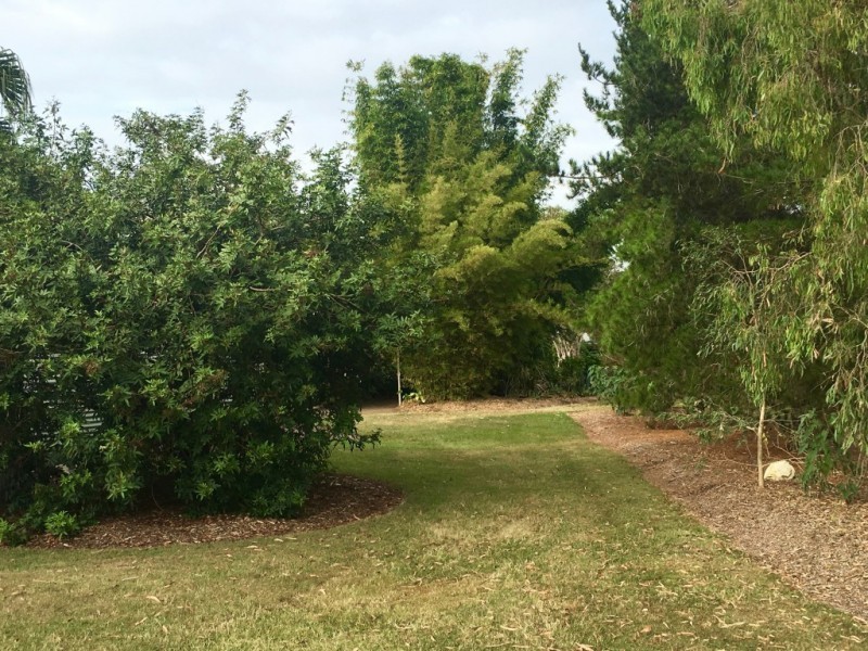 45-47 Marion Road, Cedar Grove QLD 4285