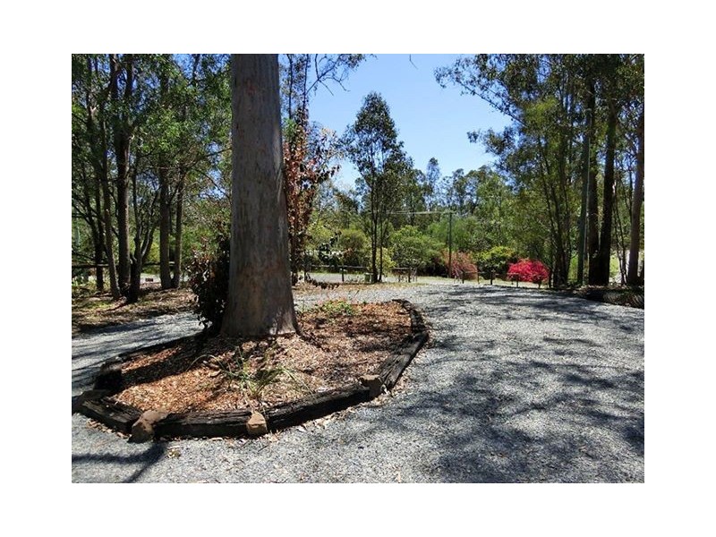 10 Cathryn Court, Cedar Grove QLD 4285