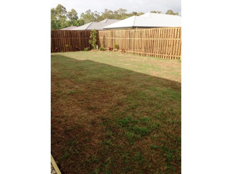 3 Springrise Place, Yarrabilba QLD 4207