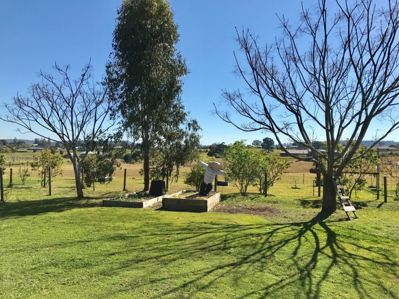 48-50 Glycine Court, Veresdale Scrub QLD 4285