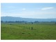 30 Amalfi Crescent, Nowra NSW 2541