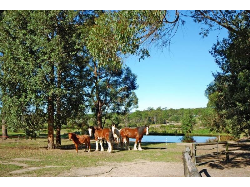 316b Pine Forest Road, Tomerong NSW 2540