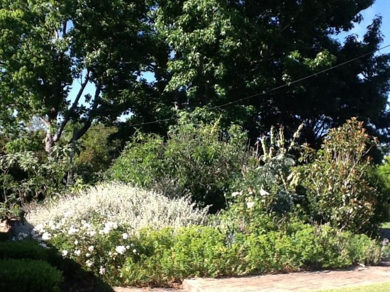 6 Tannery Road, Cambewarra NSW 2540