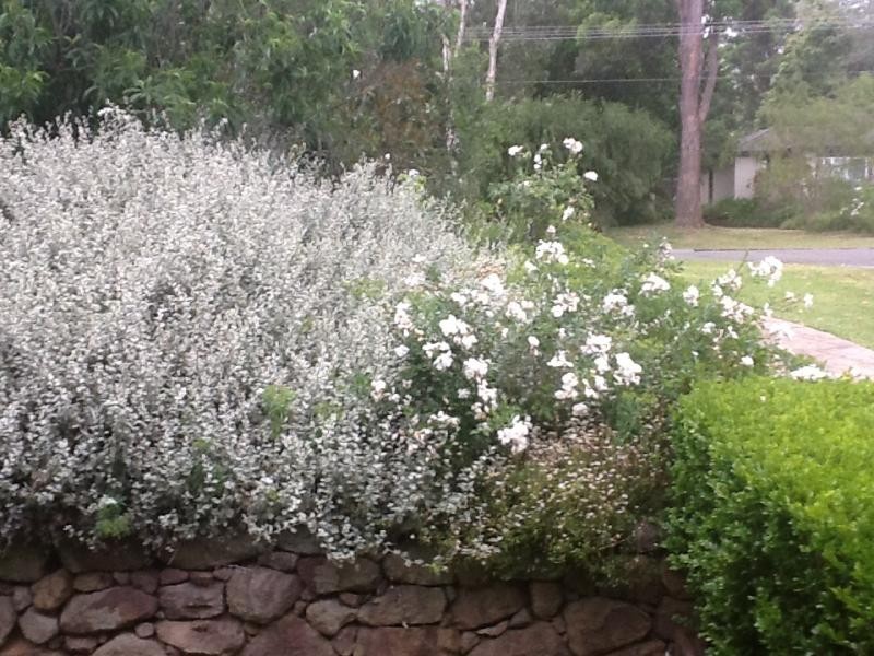 6 Tannery Road, Cambewarra NSW 2540