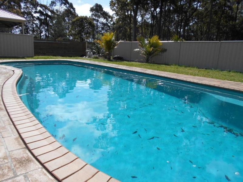 28 Eucalypt Lane, Tomerong NSW 2540