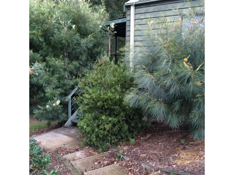 Cabin 40/390 Mount Scanzi Road, Kangaroo Valley NSW 2577