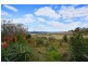 37 Warrigal Street, Nowra NSW 2541