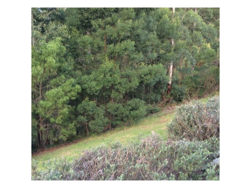 Villa 43/390 Mount Scanzi Road, Kangaroo Valley NSW 2577