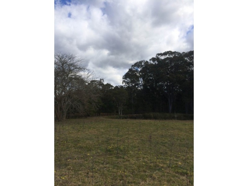 Lot 208,  Daisy Place, Worrigee NSW 2540
