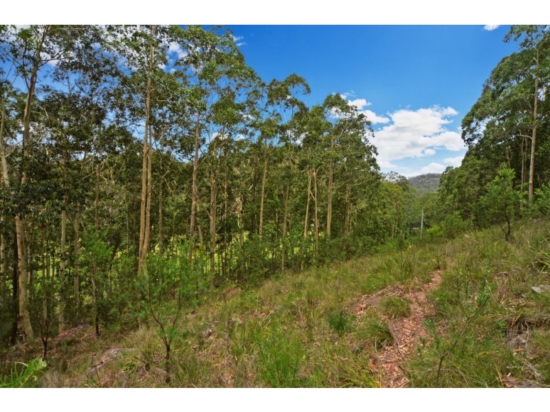 Lot 2, DP 876682 Burrier Road, Barringella NSW 2540