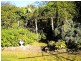 109 Ryans Lane, Pyree NSW 2540